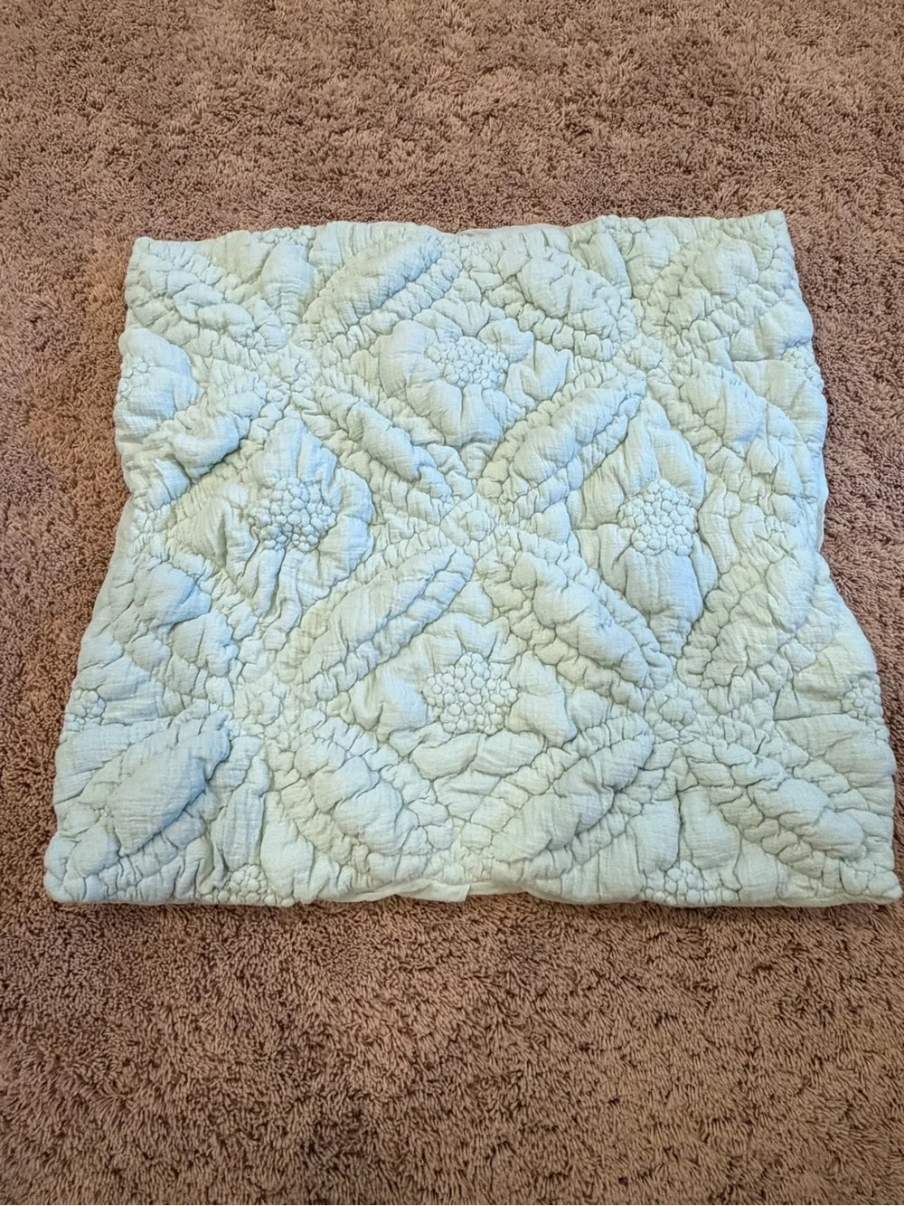 New Anthropologie everly cotton floral euro sham textured mint green blue cover
